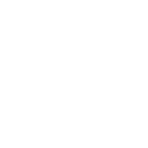 logo 2019 blanco